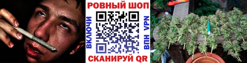 Где найти наркотики Черноголовка Alpha PVP  КОКАИН  МЕФ  Каннабис  OMG маркетплейс  Гашиш  Галлюциногенные грибы 