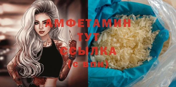индика Сясьстрой