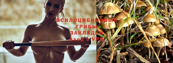 ALPHA PVP Тихвин