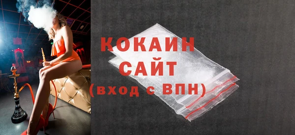 индика Сясьстрой