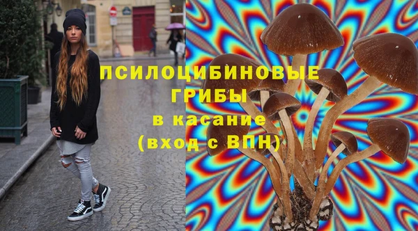 таблы Тайга