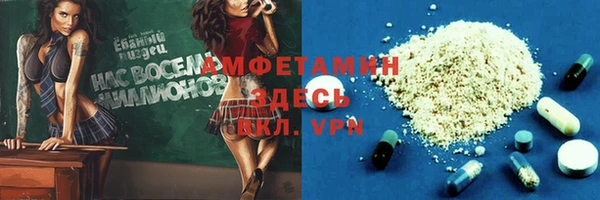 индика Сясьстрой