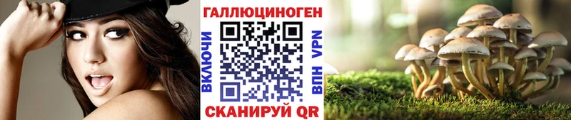 кракен ССЫЛКА  Черноголовка  Псилоцибиновые грибы прущие грибы 